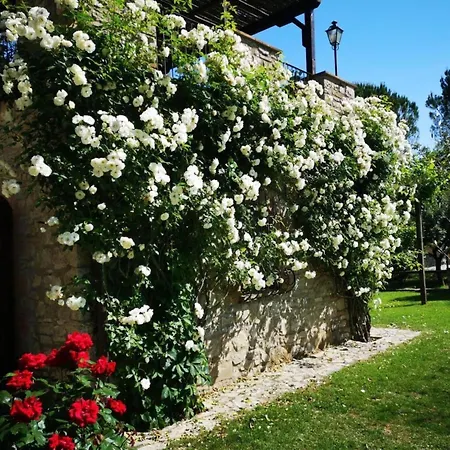 Altes Haus In Rotecastello Mit Grossem Pool By Interhome Casa de Férias San Venanzo