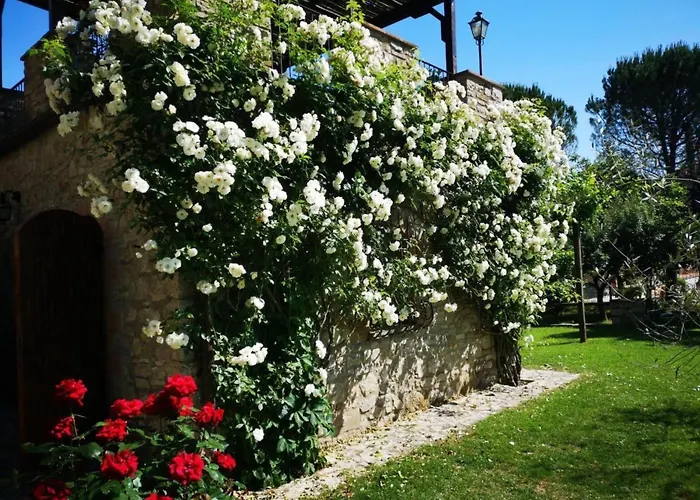 Altes Haus In Rotecastello Mit Grossem Pool By Interhome Casa de Férias San Venanzo